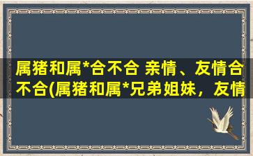 属猪和属*合不合 亲情、友情合不合(属猪和属*兄弟姐妹，友情深似海，亲情浓如醇！)